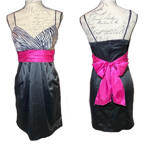 Trixxi Dresses & Skirts - Trixxi Women’s Stretch Satin Tie Back Pleat Dress w/ Zebra Bodice Size 7